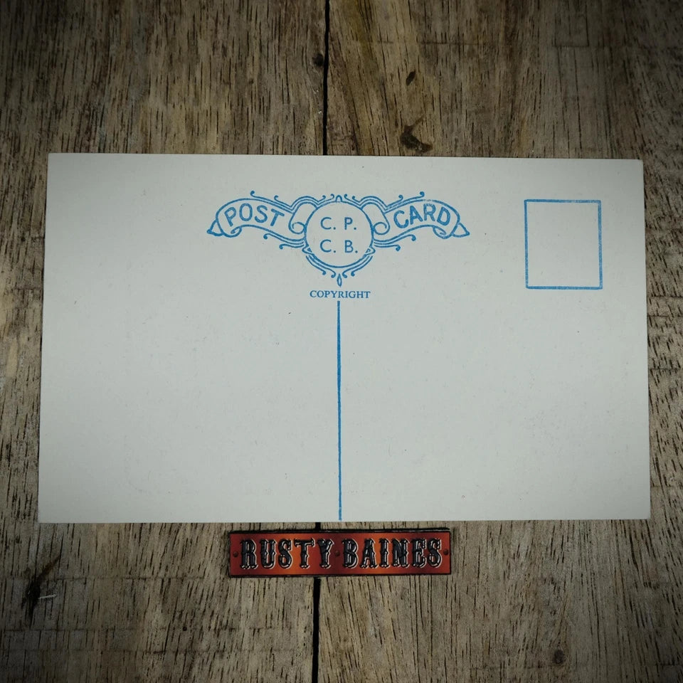 Postcard, Comic/Humour, Bathing Beauty Women, Sexual Innuendo Marriage