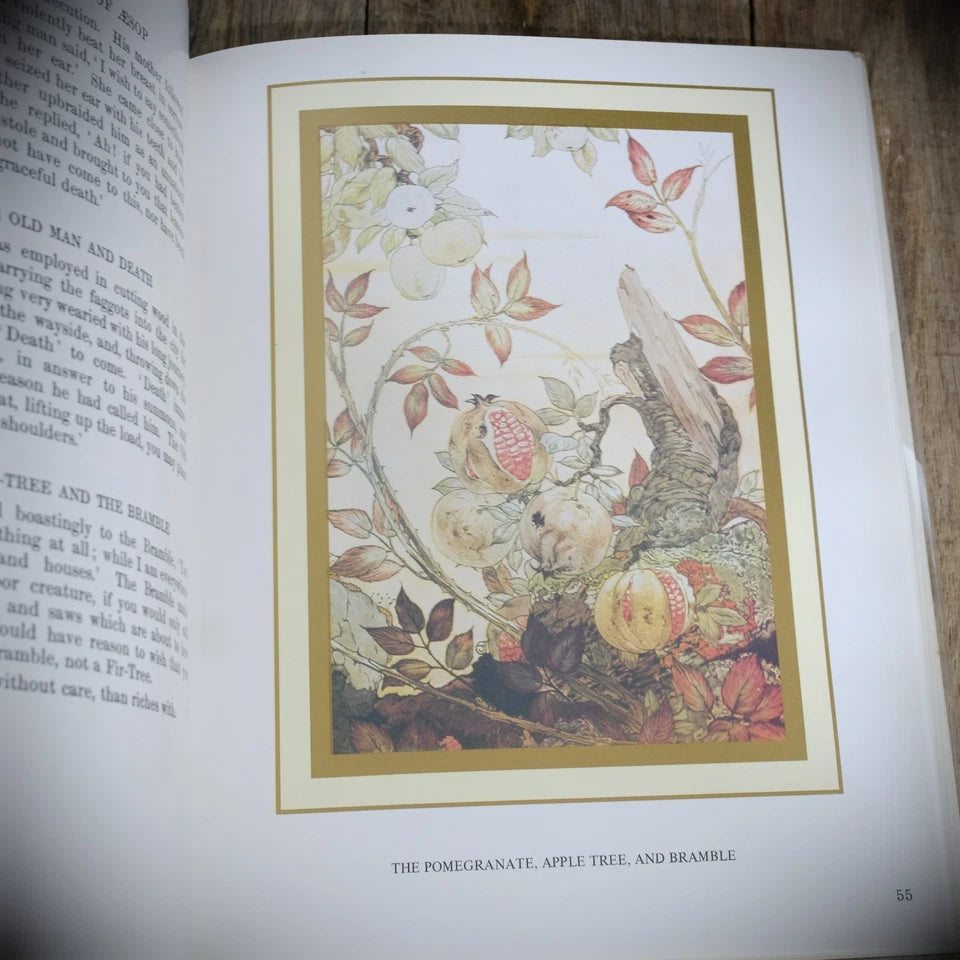 The Fables of Aesop, Edward Detmold, 1985 Australian Hardback