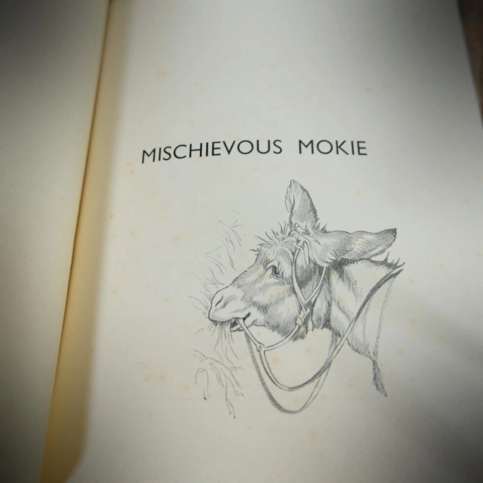 Mischievous Mokie, Isobel St Vincent, Helen Haywood Undated Children's Hardcover