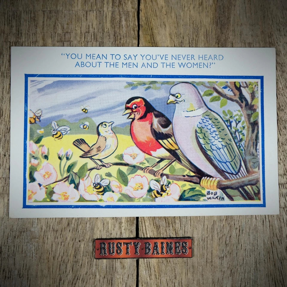 Postcard, Comic/Humour, Birds & Bess, Men & Women Education