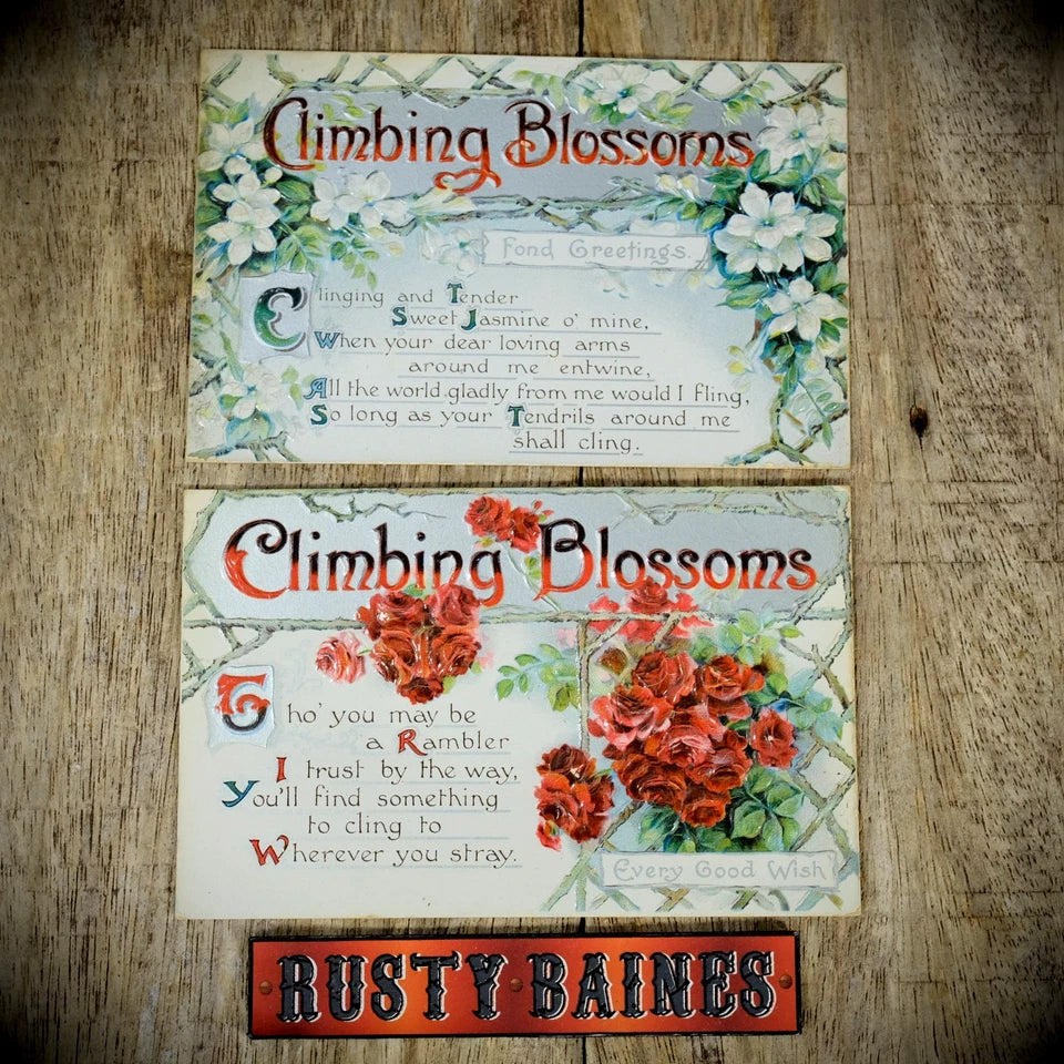 Postcards, Birn Bros Better Greetings Chromo Litho, Climbing Blossoms Flower