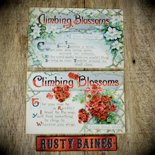 Postcards, Birn Bros Better Greetings Chromo Litho, Climbing Blossoms Flower