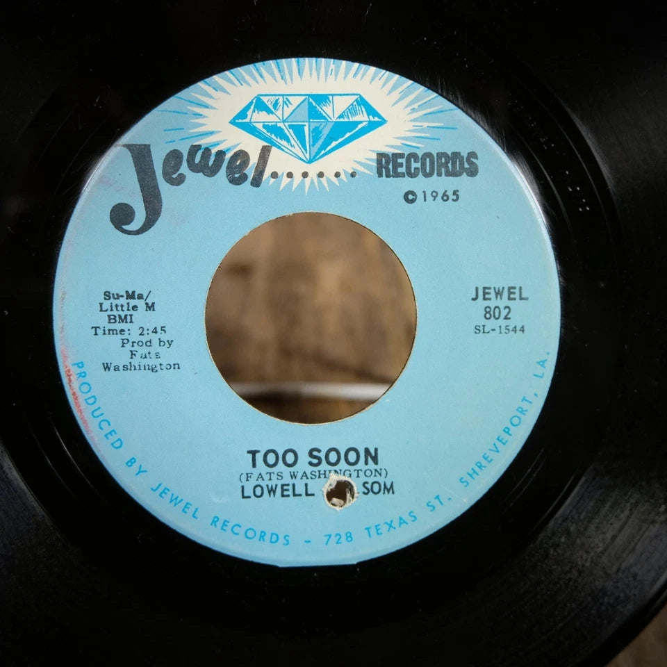 Record 7" Single, Lowell Fulsom, Why Don't We Do it in the Road, Promo
