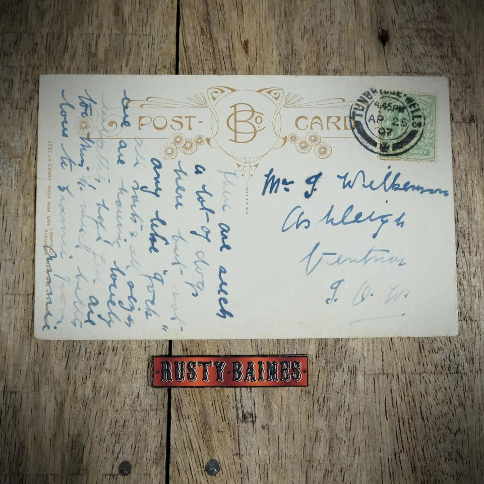 Postcard, Bamforth Comic, Beware of the Dog, Tiny Terrier