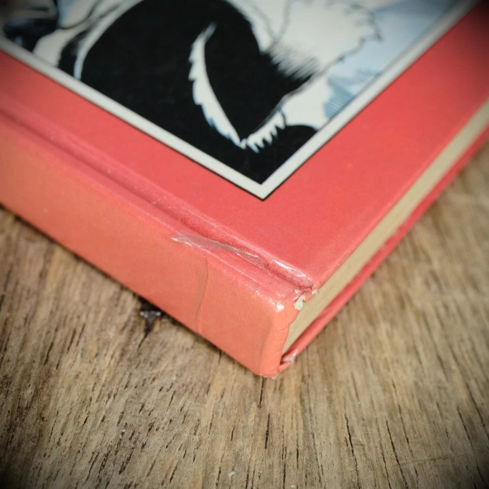 Dandy Annual 1970, Vintage British D C Thomson Comic Hardcover