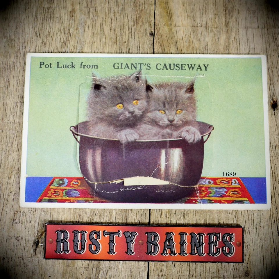 Postcard, Comic, Novelty Pull-Out, Giant's Causeway Cats, Printed