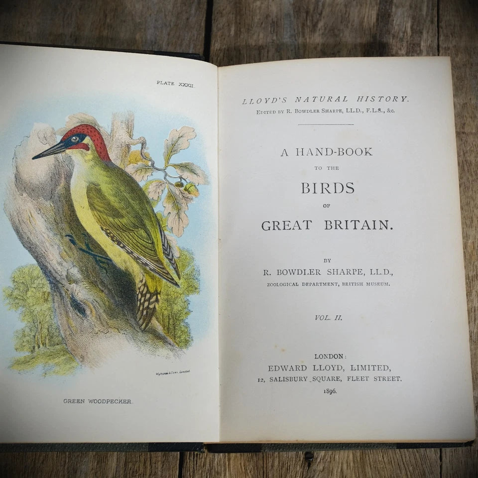 Hand-Book to the Birds of Britain, R Bowdler Sharpe, 1896 Lloyds Natural History