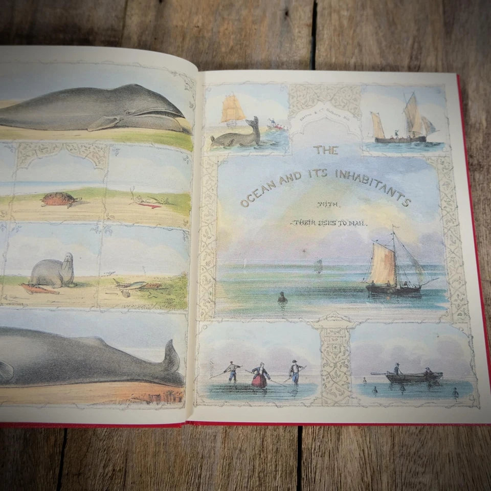 The Ocean and its Inhabitants, Osbourne Facsimile, Hardcover 1981