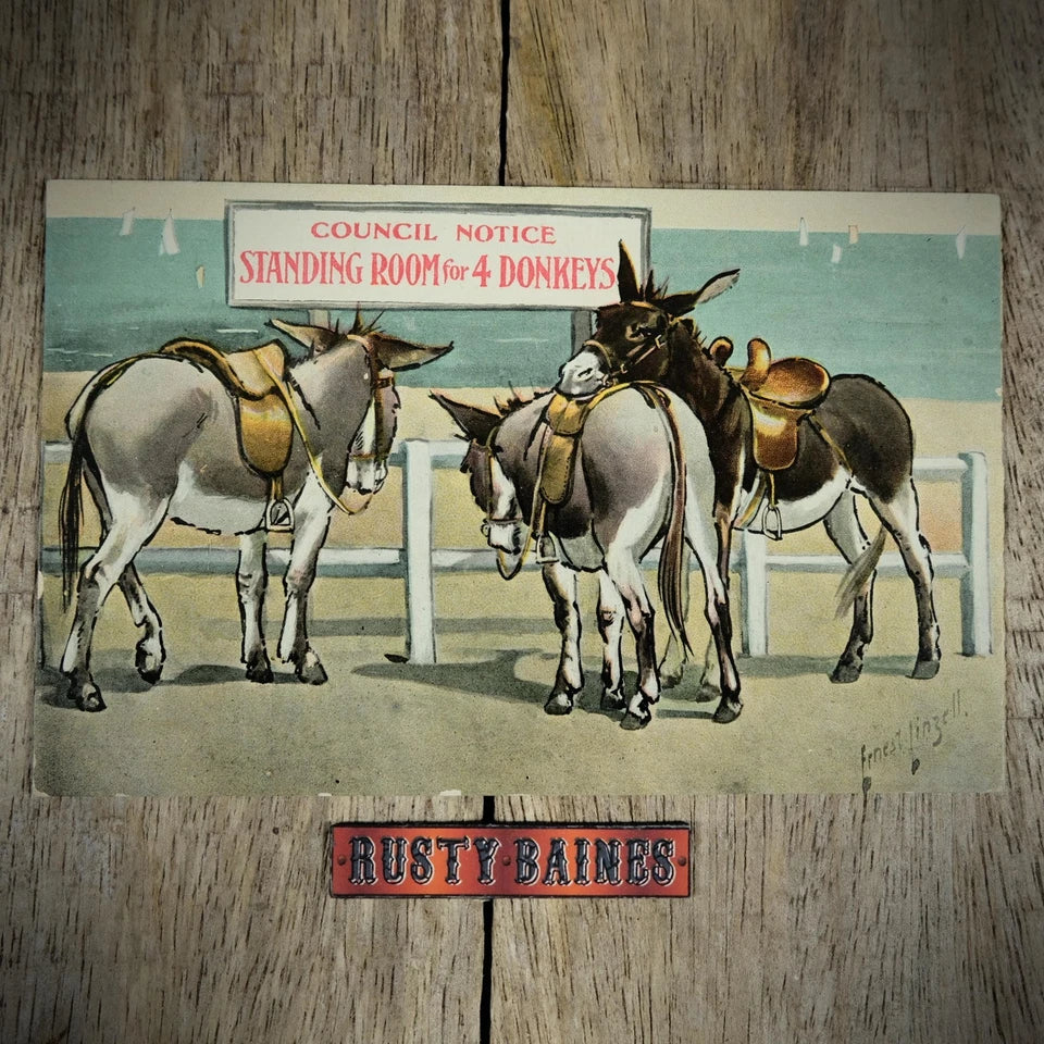 Postcard, Seaside Comic, Donkey Rides, Council Notice
