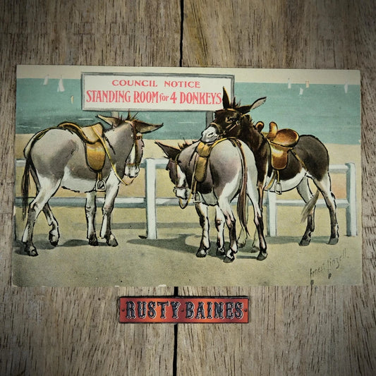 Postcard, Seaside Comic, Donkey Rides, Council Notice