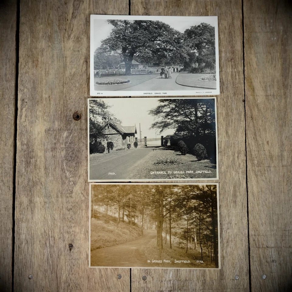Postcard Bundle, Sheffield Graves Park, Real Photo
