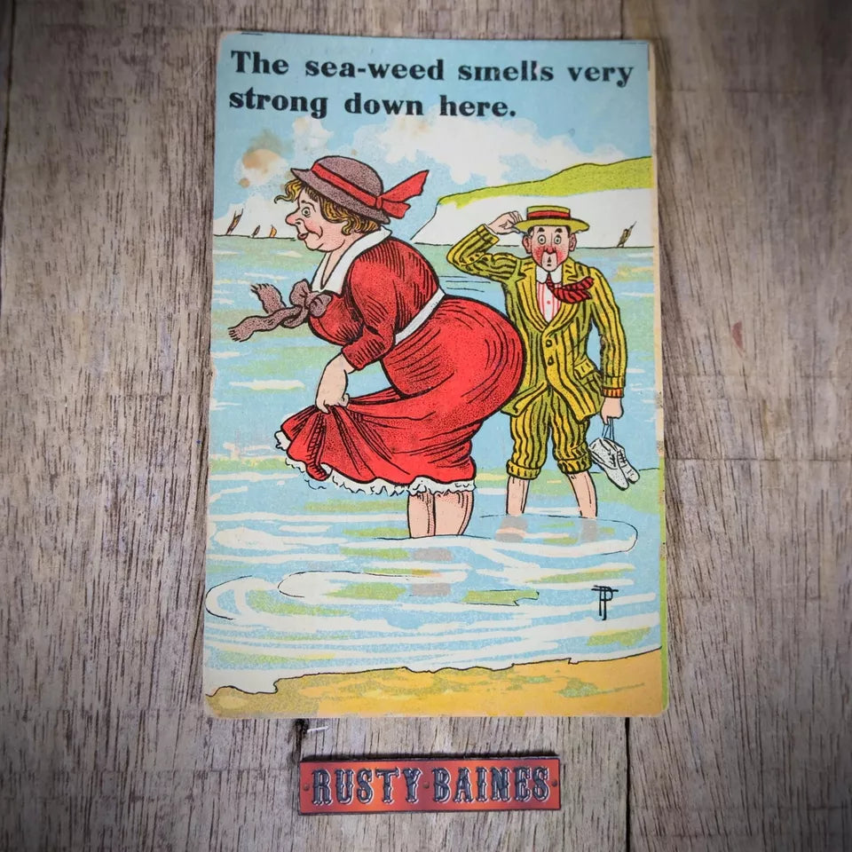 Vintage Postcard, Comic, Smelly Seaside Seaweed, Bathing Woman