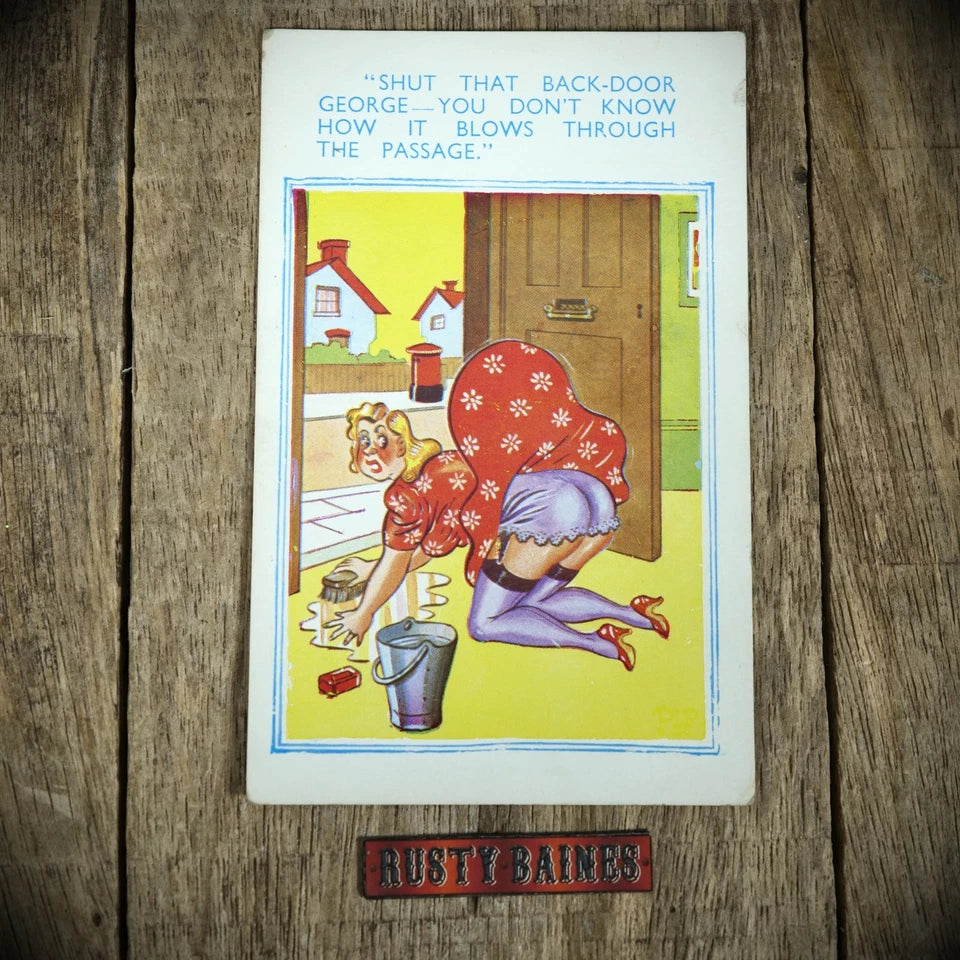 Postcard, Comic, Housewife Cleaning, Flashing Stocking and Knickers
