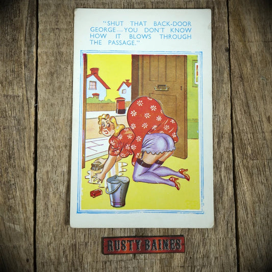 Postcard, Comic, Housewife Cleaning, Flashing Stocking and Knickers