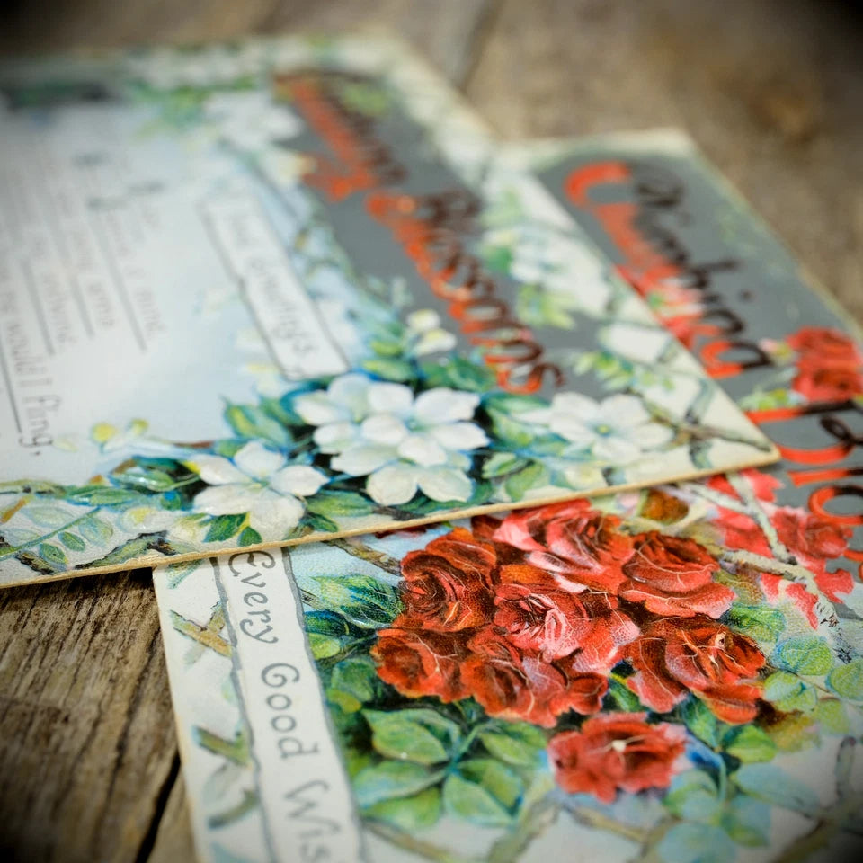 Postcards, Birn Bros Better Greetings Chromo Litho, Climbing Blossoms Flower