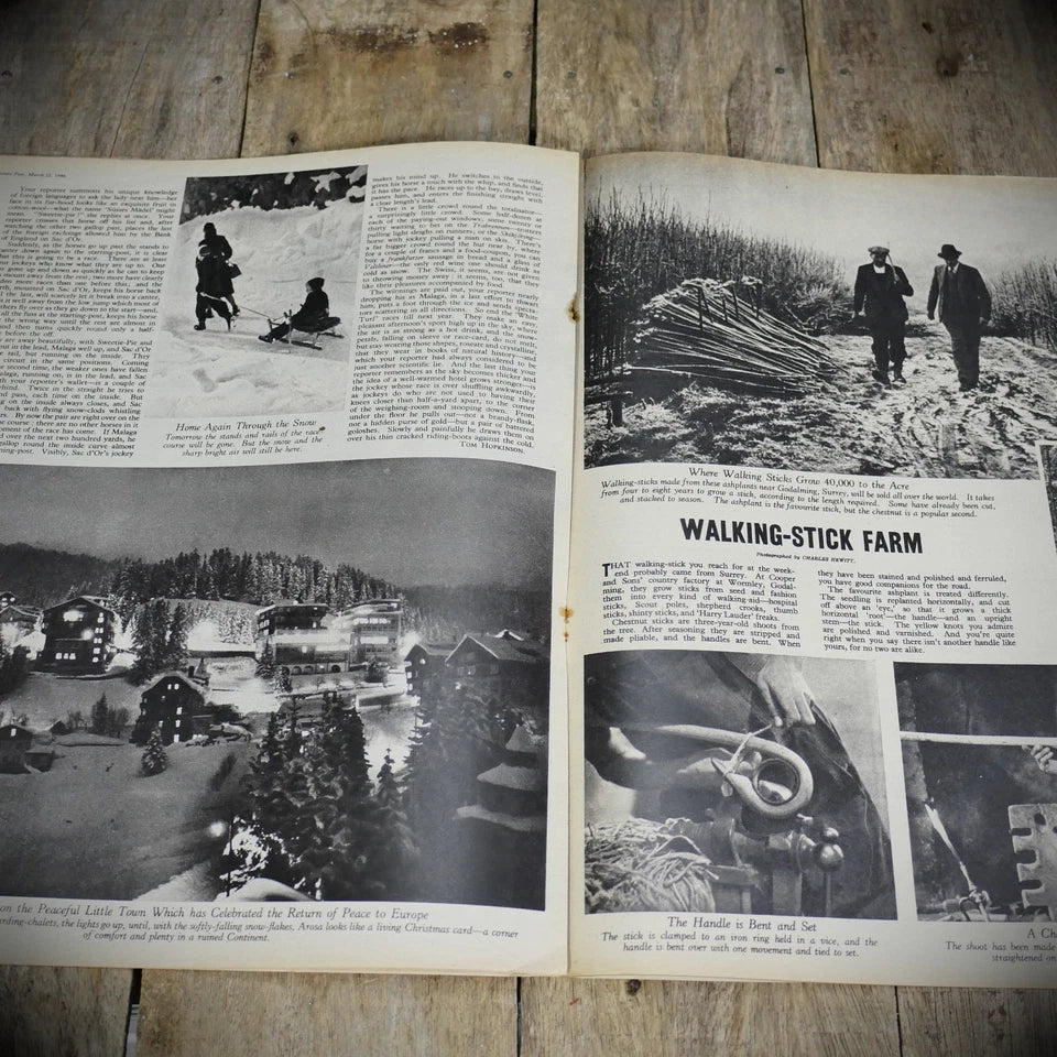 Picture Post 23 March 1946 Walt Disney, Walking Stick Farm, China,